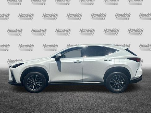 Certified 2025 Lexus NX 350h AWD w/ Cold Area Package image 8