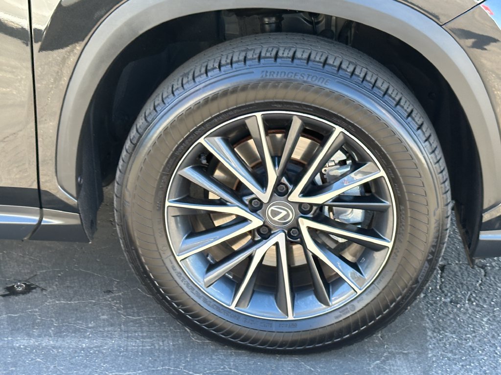 Used 2024 Lexus NX 250 AWD w/ Cold Area Package image 13