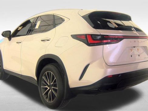 Used 2024 Lexus NX 250 FWD w/ Cold Area Package image 13