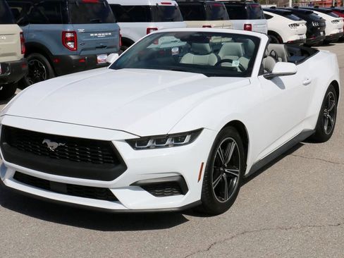 Used 2024 Ford Mustang Premium image 2