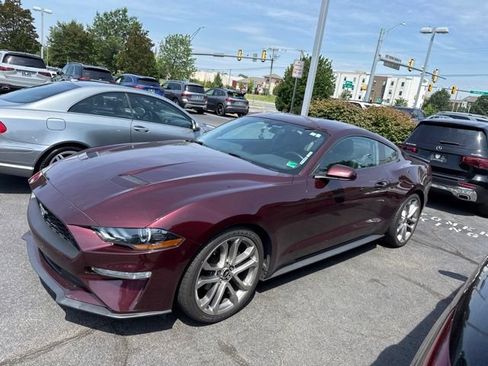 Used 2018 Ford Mustang Coupe RWD image 2