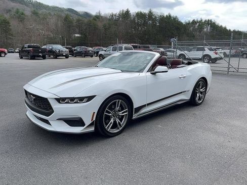 Certified 2025 Ford Mustang Premium image 2