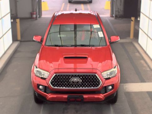 Used 2019 Toyota Tacoma TRD Sport AWD/4WD image 2