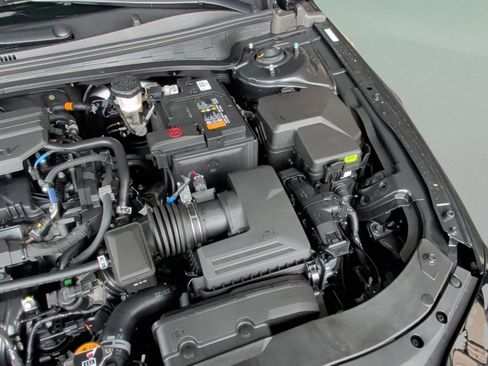 New 2026 Hyundai Elantra Limited image 18