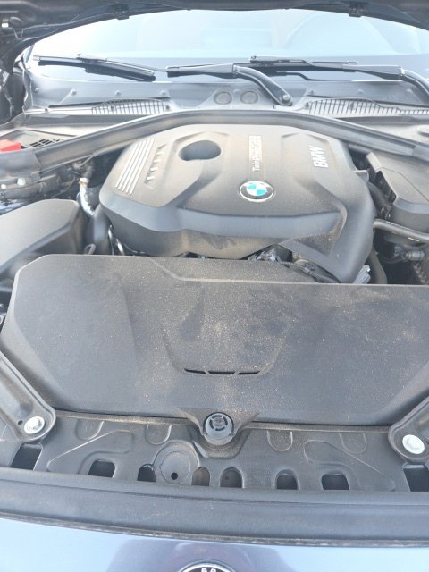 Used 2020 BMW 230i xDrive Convertible w/ Premium Package AWD/4WD image 8
