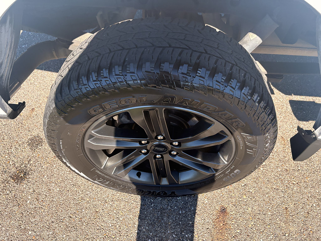 Used 2021 Ford F150 XLT w/ Equipment Group 302A High AWD/4WD image 11