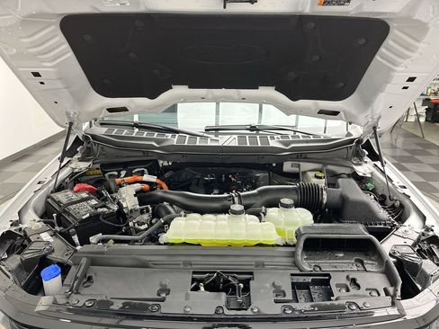 New 2025 Ford F150 XLT w/ Equipment Group 302A MID image 28