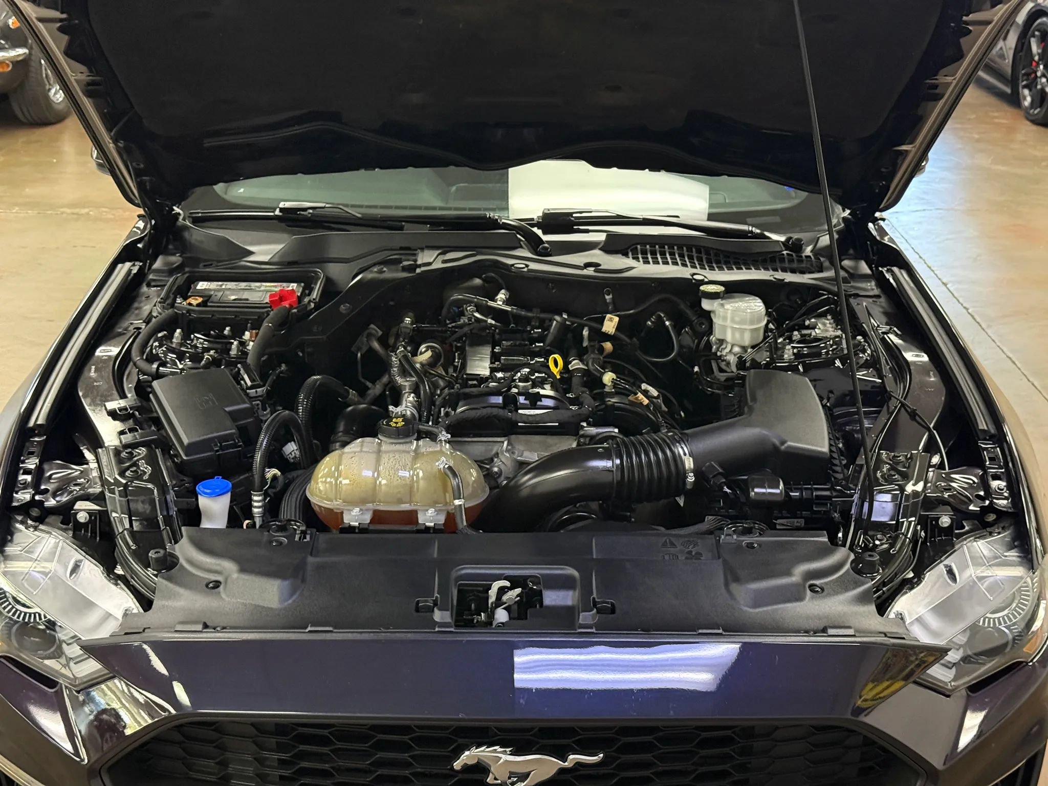 Used 2022 Ford Mustang Coupe RWD image 12