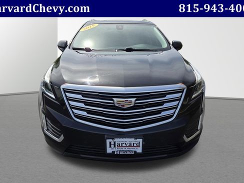 Used 2019 Cadillac XT5 Premium Luxury AWD/4WD image 2