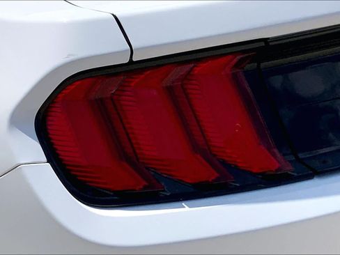 Used 2019 Ford Mustang Coupe RWD image 25
