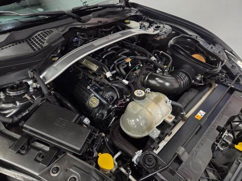 Used 2016 Ford Mustang Shelby GT350 w/ Technology Package RWD image 92