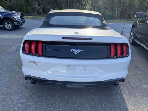 Used 2019 Ford Mustang Premium w/ Equipment Group 201A image 5