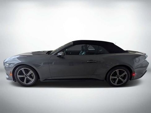 Used 2024 Ford Mustang Premium RWD image 6