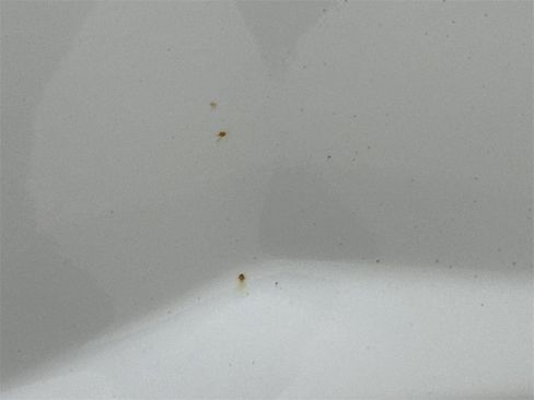 Used 2018 Chevrolet Silverado 1500 LT w/ All Star Edition image 41