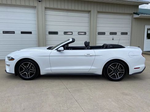 Used 2023 Ford Mustang Premium RWD image 6