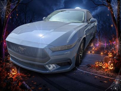 Used 2026 Ford Mustang Coupe w/ Bronze Appearance Package