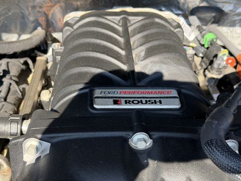 Used 2019 Ford F150 XLT w/ Equipment Group 302A Luxury AWD/4WD image 43