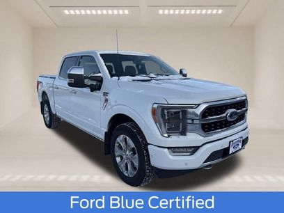 Used 2023 Ford F150 Platinum w/ Equipment Group 701A High