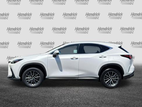 Certified 2024 Lexus NX 350 AWD w/ Cold Area Package image 8