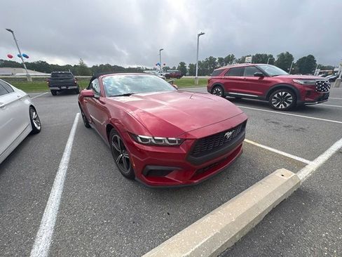 Used 2024 Ford Mustang Premium RWD image 2