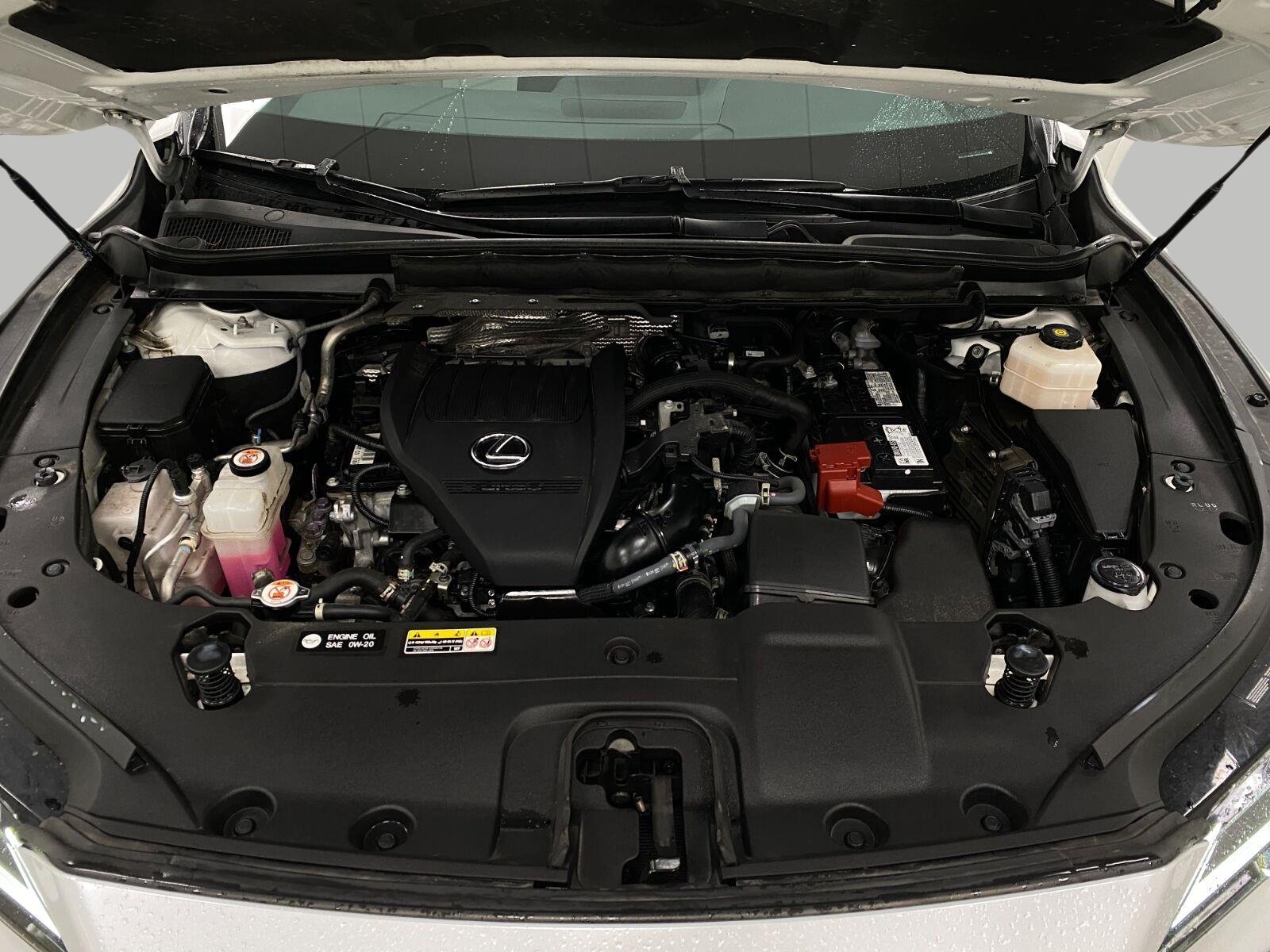 Used 2024 Lexus RX 350 Premium w/ Convenience Package AWD/4WD image 12