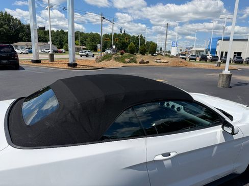 Used 2018 Ford Mustang Premium RWD image 16