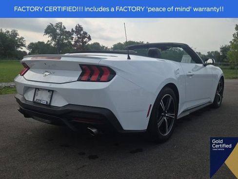 Used 2025 Ford Mustang Premium RWD image 13