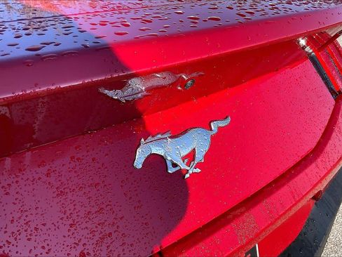 Used 2024 Ford Mustang Coupe image 10