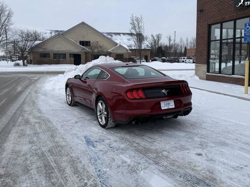 Used 2019 Ford Mustang Premium w/ Pony Package image 9