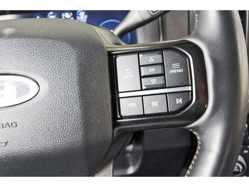 Certified 2024 Ford F250 Platinum w/ Tremor Off-Road Package AWD/4WD image 19