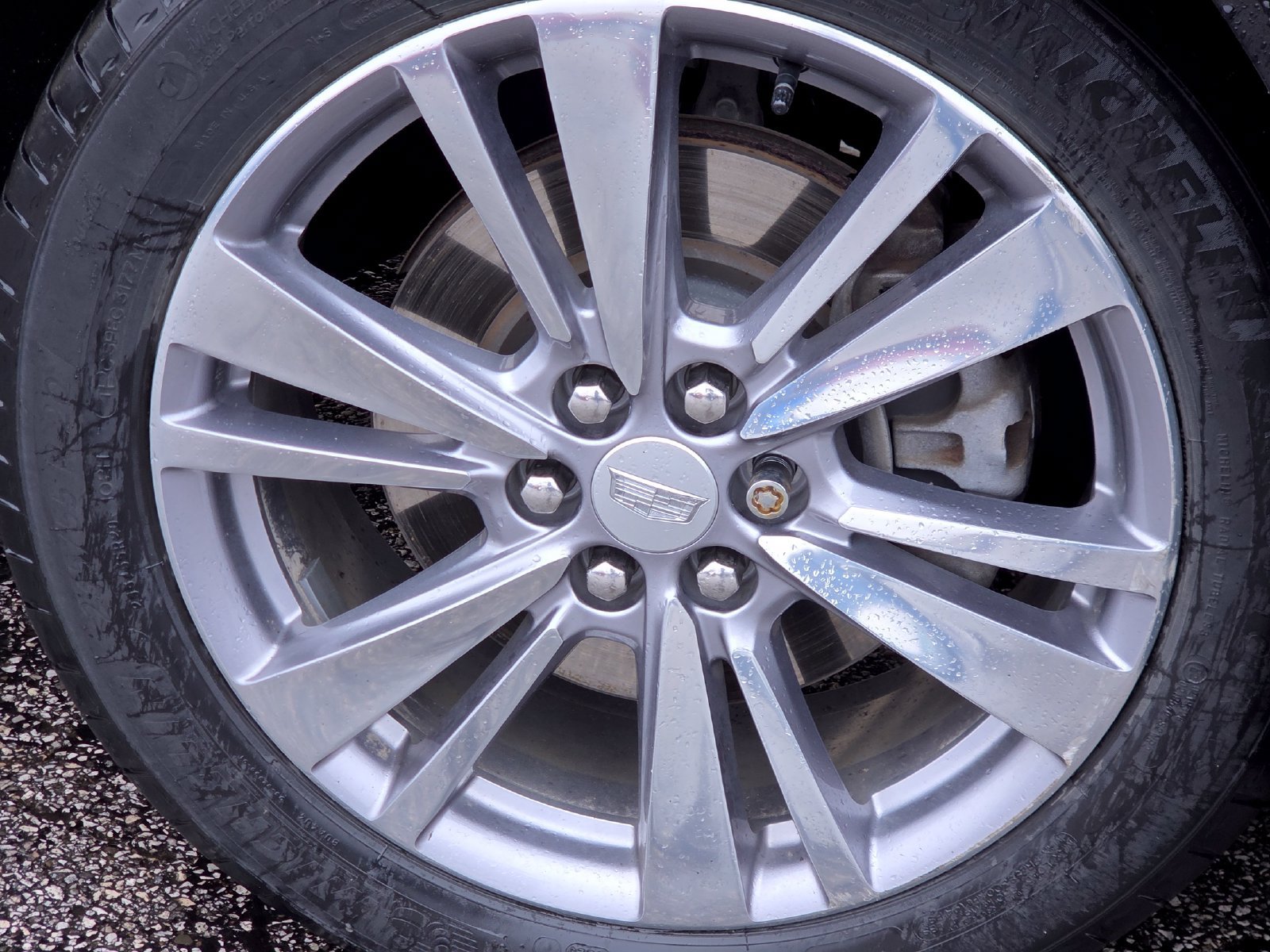 Used 2024 Cadillac XT5 Premium Luxury AWD/4WD image 17