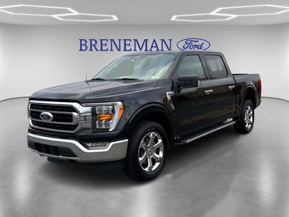 Used 2023 Ford F150 XLT w/ Equipment Group 302A High