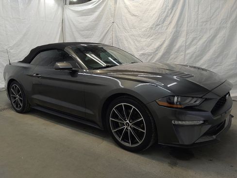 Used 2019 Ford Mustang Premium w/ Equipment Group 201A image 11