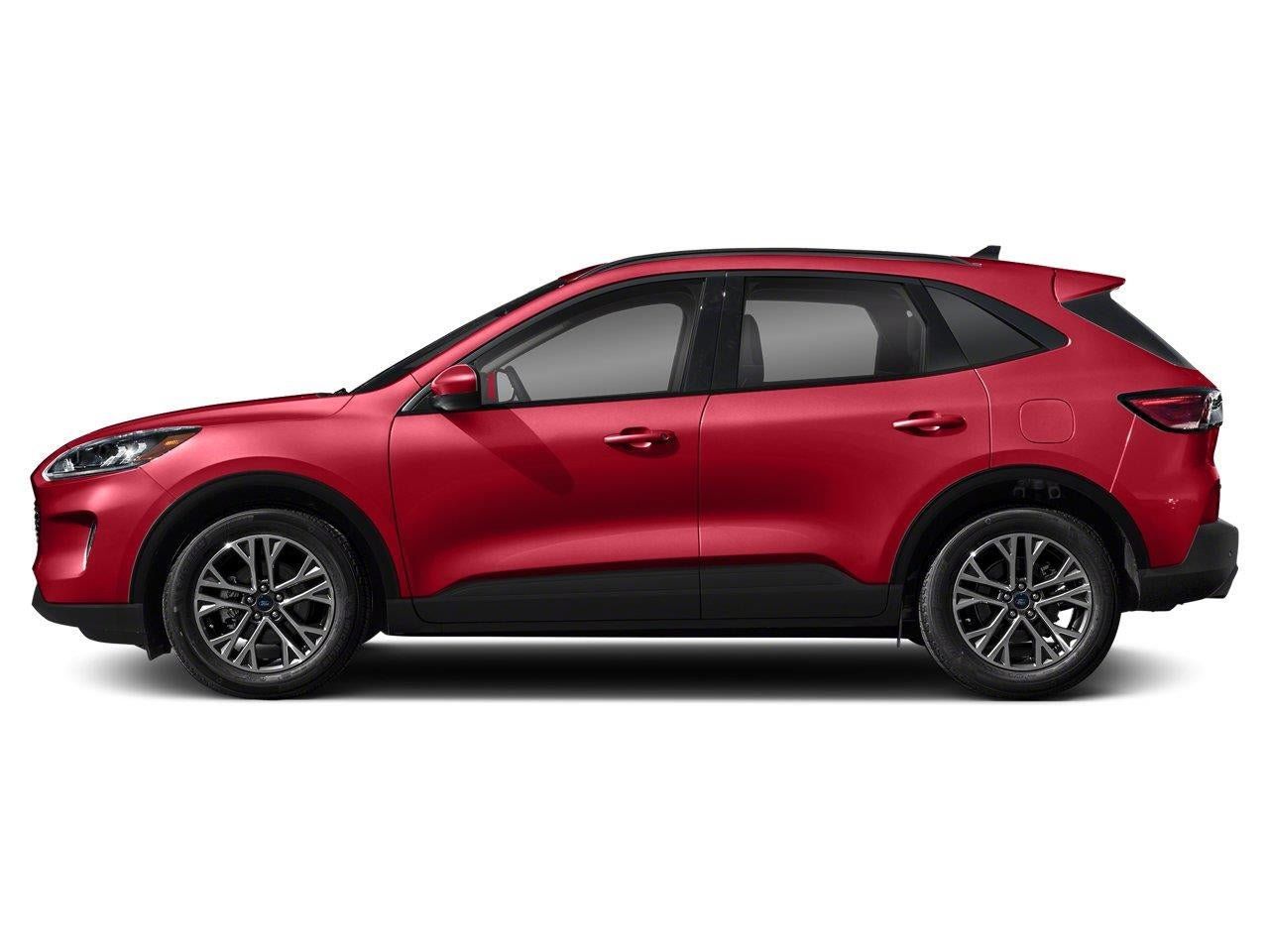 Used 2020 Ford Escape SEL AWD/4WD image 3