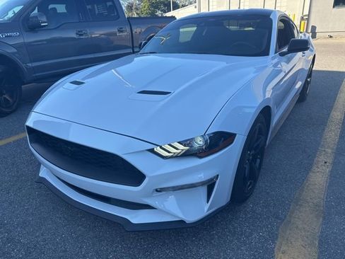 Used 2022 Ford Mustang Coupe w/ Black Accent Package image 1