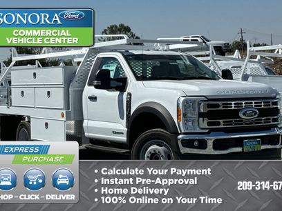 New 2024 Ford F450 XL