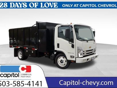 New 2025 Chevrolet Low Cab Forward
