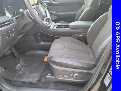 New 2025 Hyundai Palisade Calligraphy