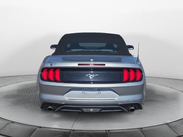 Used 2021 Ford Mustang Premium RWD image 4