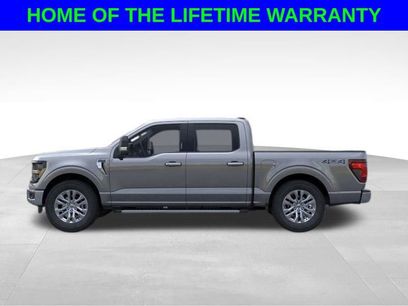 New 2024 Ford F150 XLT w/ Equipment Group 303A High