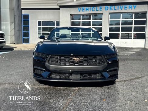 New 2026 Ford Mustang Premium w/ Bronze Appearance Package image 3