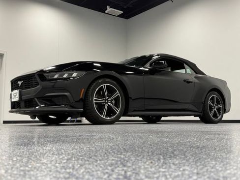 Used 2024 Ford Mustang Premium RWD image 4