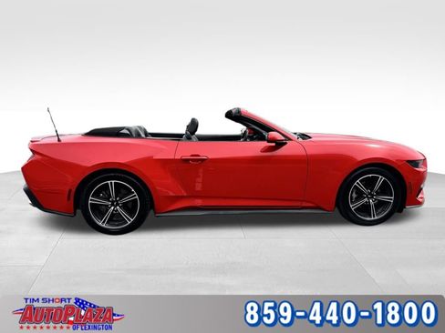 Used 2025 Ford Mustang Premium RWD image 10
