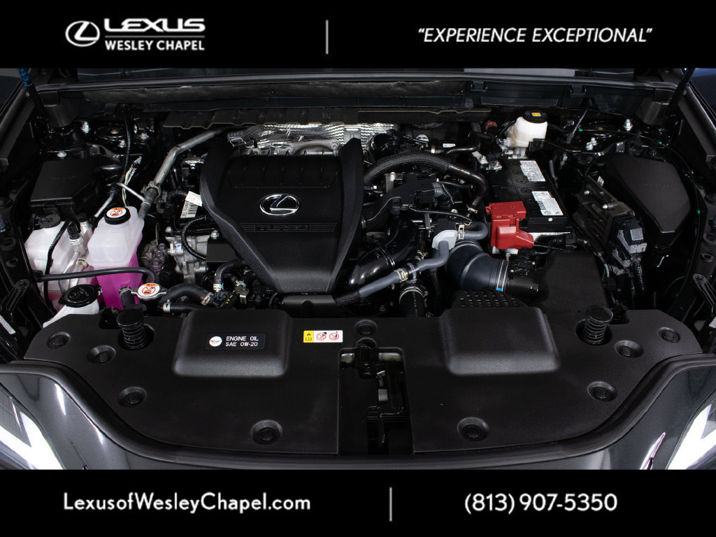 Certified 2026 Lexus NX 350 AWD w/ Cold Area Package image 10