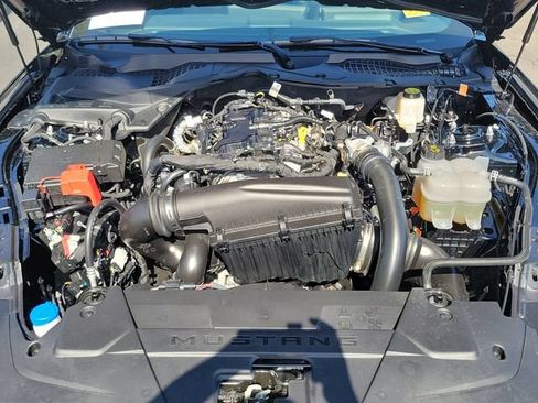 Used 2026 Ford Mustang Coupe w/ Mustang Nite Pony Package RWD image 20