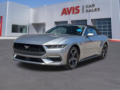 Used 2025 Ford Mustang Premium