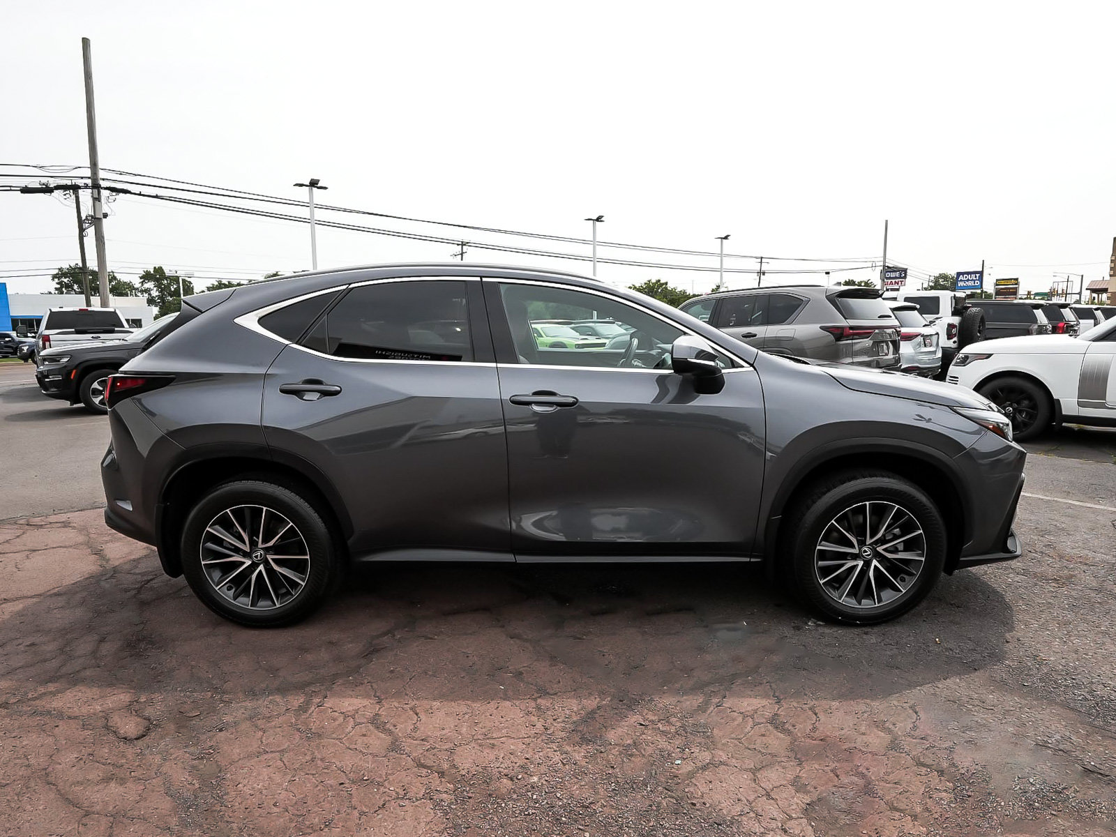 Used 2024 Lexus NX 250 FWD w/ Cold Area Package image 7