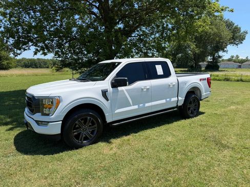 Used 2022 Ford F150 XLT w/ Equipment Group 302A High AWD/4WD image 1