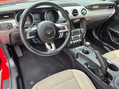 Certified 2019 Ford Mustang GT Premium w/ Ford Safe & Smart Package RWD image 20