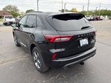 Used 2024 Ford Escape ST-Line w/ Tech Pack #1 image 5